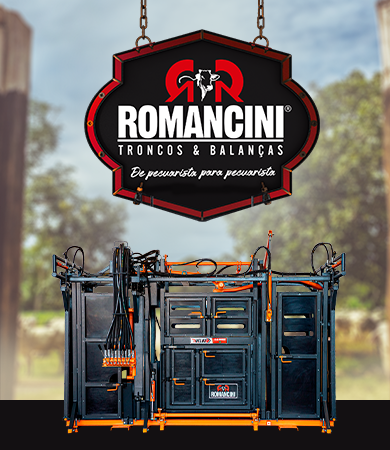 Romancini