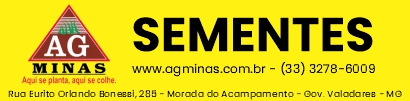 AG Minas