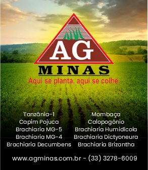 AG Minas Mob