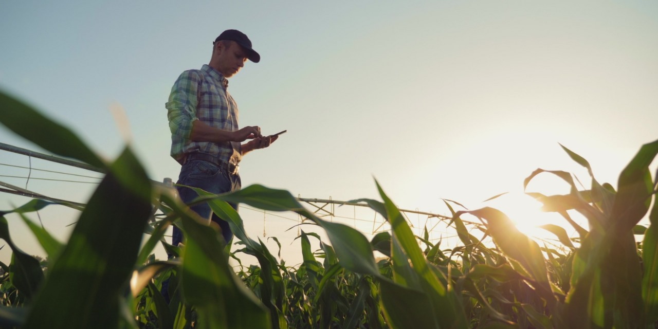 Mercado de Trabalho no Agro em 2024