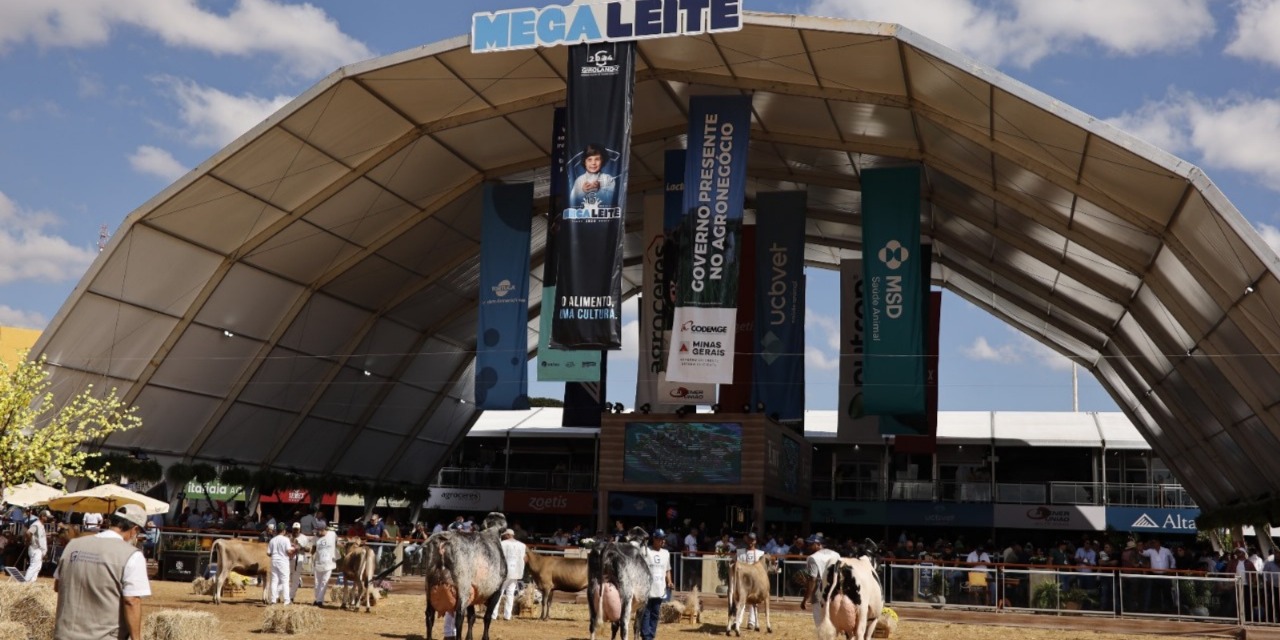 Começou a Megaleite 2025