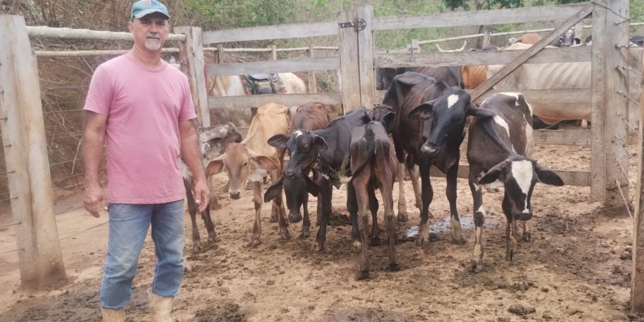 Sucesso em Inseminação Artificial